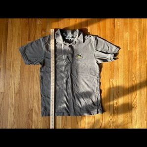 Medium Rainforest Cafe Polo